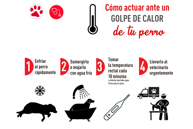 750X500 GOLPE CALOR.jpg